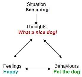 A diagram that shows thoughts, feeling, and behaviors when someone reacts to a situation they do not fear.