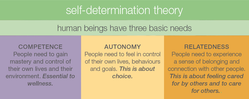 Self Determination Theory